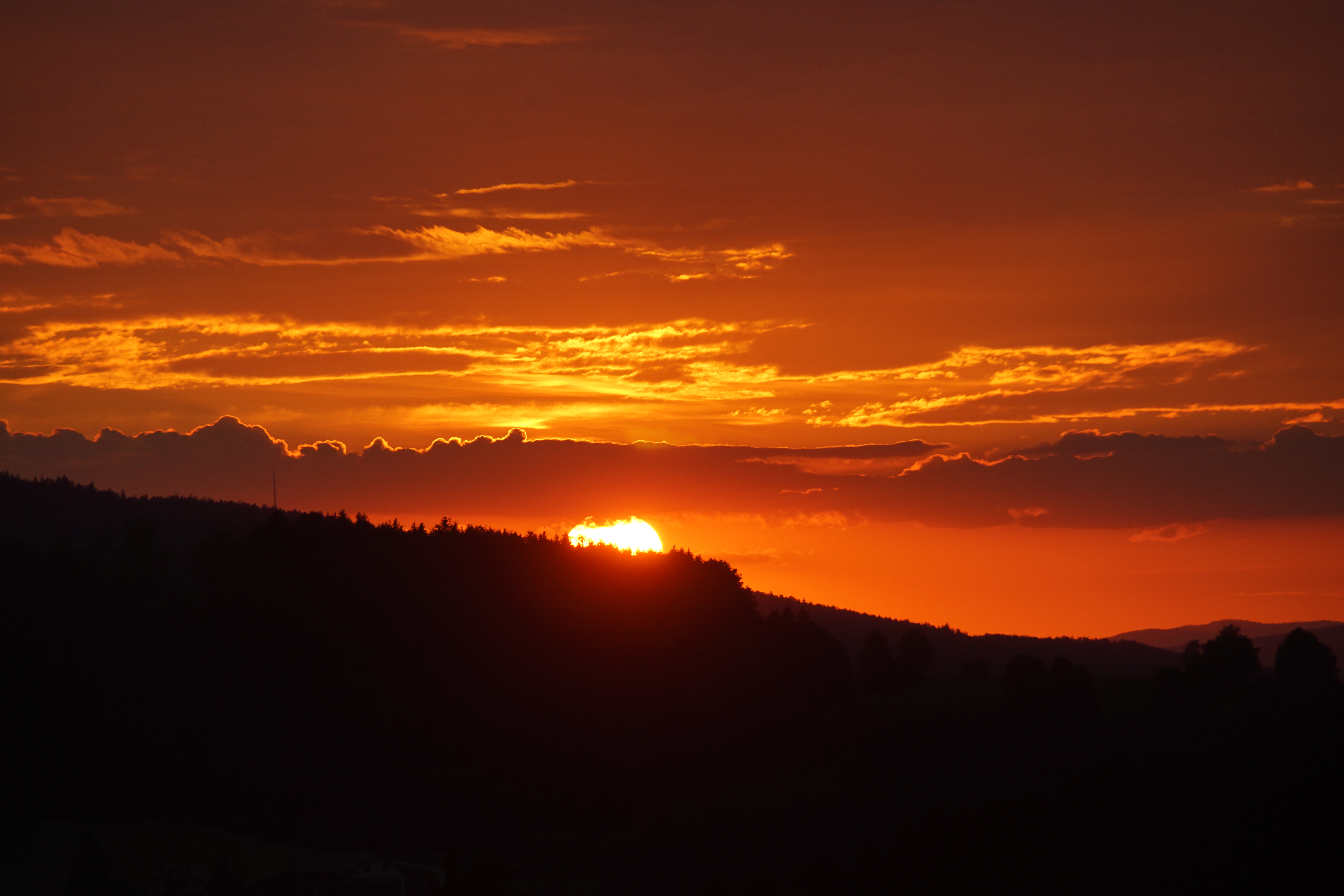 Die Camperflo's Abenteuer